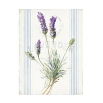 Danhui Nai 'Floursack Lavender III' Canvas Art