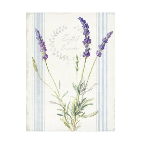 Danhui Nai 'Floursack Lavender IV' Canvas Art
