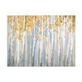 thumbnail image 1 of Danhui Nai 'Golden Birches' Canvas Art, 1 of 4