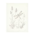 thumbnail image 1 of Danhui Nai 'Nature Sketchbook IV' Canvas Art, 1 of 4