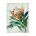 thumbnail image 1 of Danhui Nai 'Protea' Canvas Art, 1 of 3