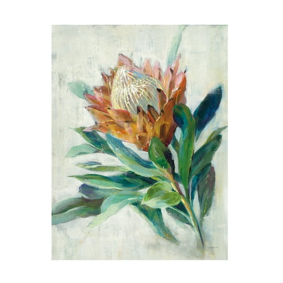 Danhui Nai 'Protea' Canvas Art