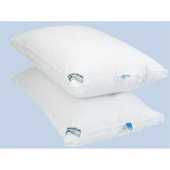 Daniadown 2000107 Queen Royal Pillow