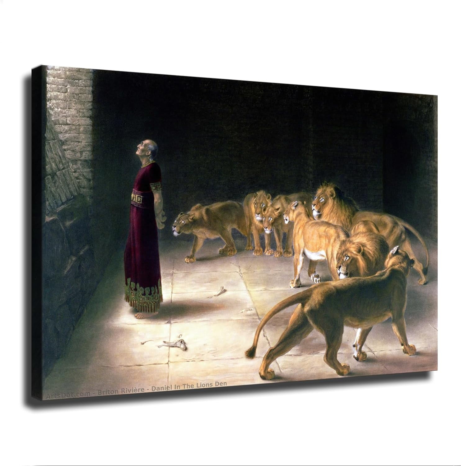 Empire Art Direct Pets Rock Psychedelic Graphic Art on