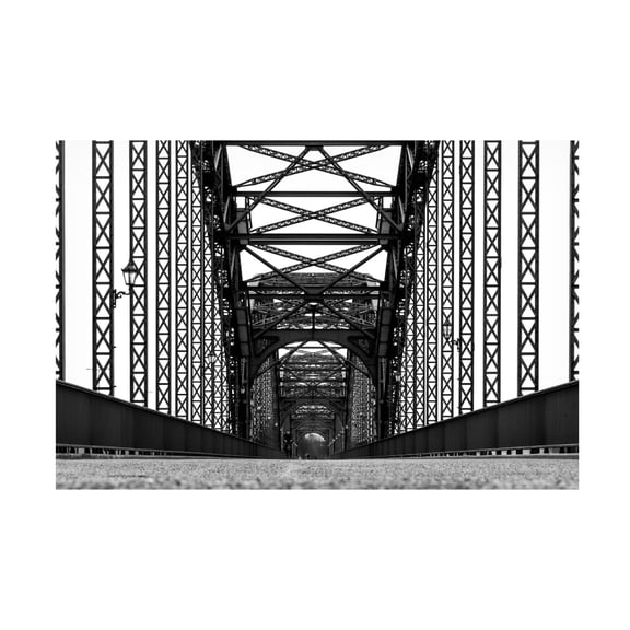 Daniel Ewedan S?ominski 'Bride Interior' Canvas Art - 32 x 22 Inches