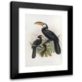 thumbnail image 1 of Daniel Giraud Elliot 13x18 Black Modern Framed Museum Art Print Titled - Hydrocissa Exarhatus (1882), 1 of 5