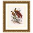 thumbnail image 1 of Daniel Giraud Elliot 15x18 Gold Ornate Wood Frame and Double Matted Museum Art Print Titled - Paradise Sanguinea (1873), 1 of 4