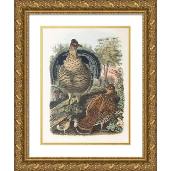 Daniel Giraud Elliot 15x18 Gold Ornate Wood Frame and Double Matted Museum Art Print Titled - Ruffed Grouse (1865)