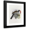 thumbnail image 1 of Daniel Giraud Elliot 17x24 Black Modern Framed Museum Art Print Titled - Trackus Monteiri (1882), 1 of 5