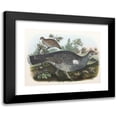 thumbnail image 1 of Daniel Giraud Elliot 24x19 Black Modern Framed Museum Art Print Titled - Dusky Grouse (1865), 1 of 5