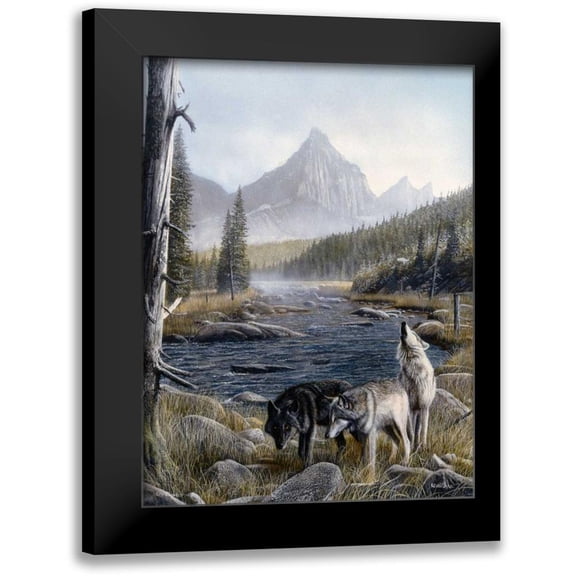 Daniel, Kevin 12x14 Black Modern Framed Museum Art Print Titled - Vantage Point II