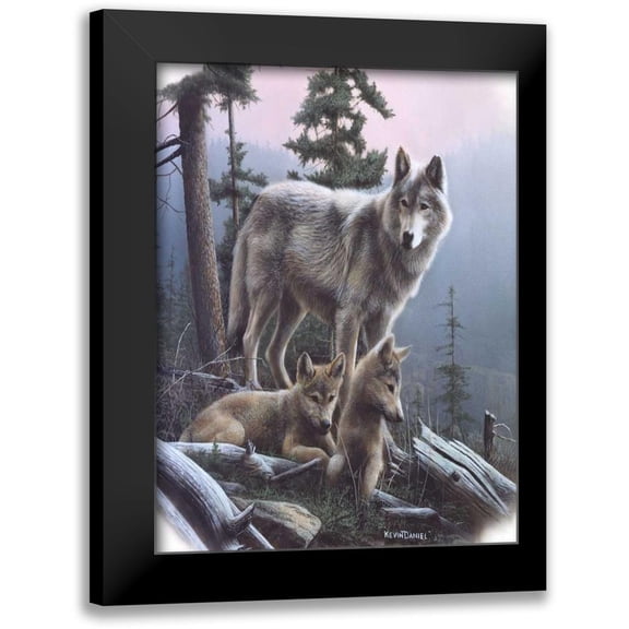 Daniel, Kevin 12x14 Black Modern Framed Museum Art Print Titled - Vantage Point I