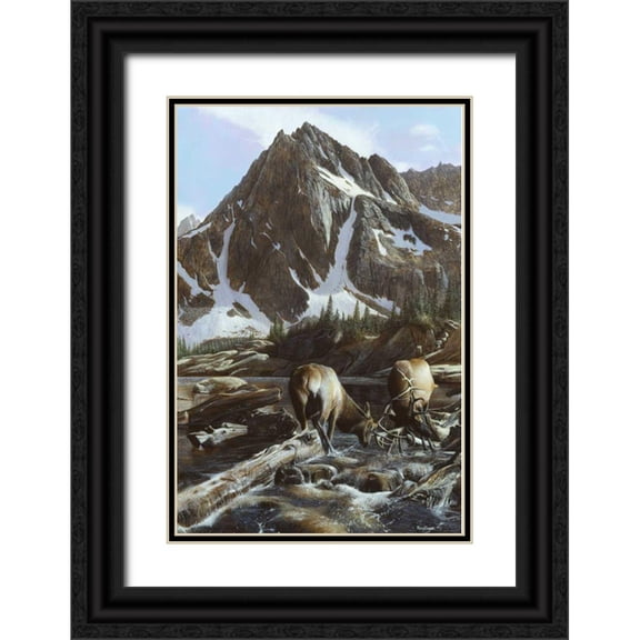 Daniel, Kevin 13x18 Black Ornate Wood Framed with Double Matting Museum Art Print Titled - Mountainside Elk II