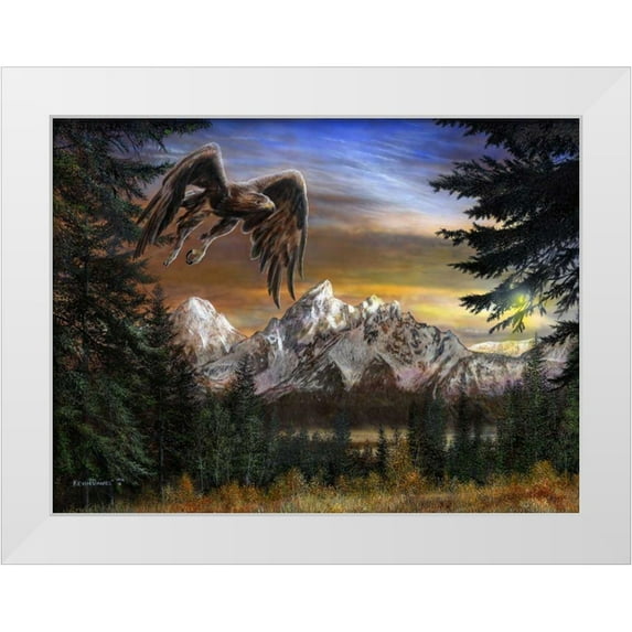 Daniel, Kevin 18x15 White Modern Wood Framed Museum Art Print Titled - Soaring Eagle