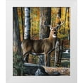 thumbnail image 1 of Daniel, Kevin 20x23 White Modern Wood Framed Museum Art Print Titled - Broken Silence, 1 of 4