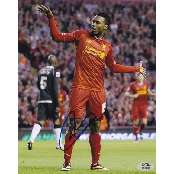 Daniel Sturridge Liverpool Legend Signed Autograph 8x10 Photo PSA/DNA COA #1