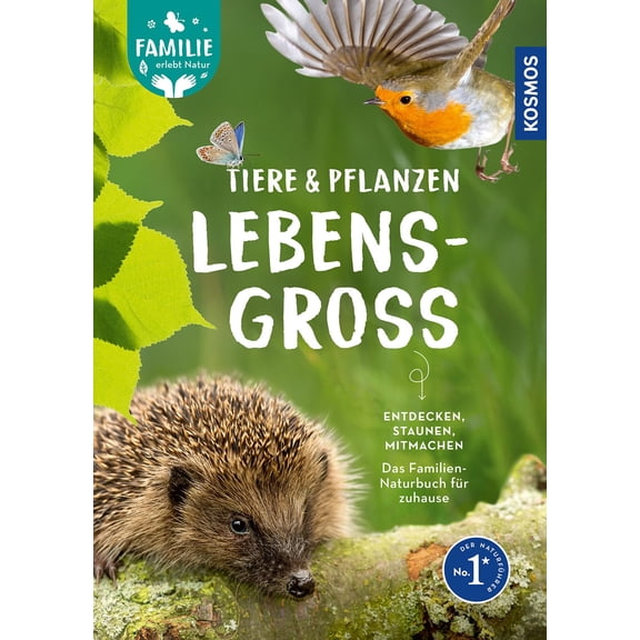 Daniela Strau&s Tiere und Pflanzen lebensgro: Rund ums Jahr die Natur entdecken. M (Hardcover)