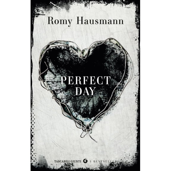 Daniele Alida,Romy Hausmann Perfect day (Paperback)