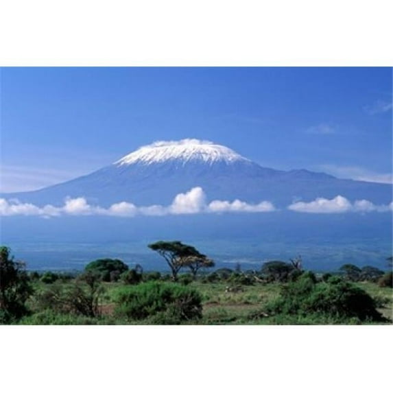Danita Delimont PDDAF45GJE0018B Africa Tanzania Mt Kilimanjaro Landscape & Zebra Poster Print by Gavriel Jecan, 24 x 15