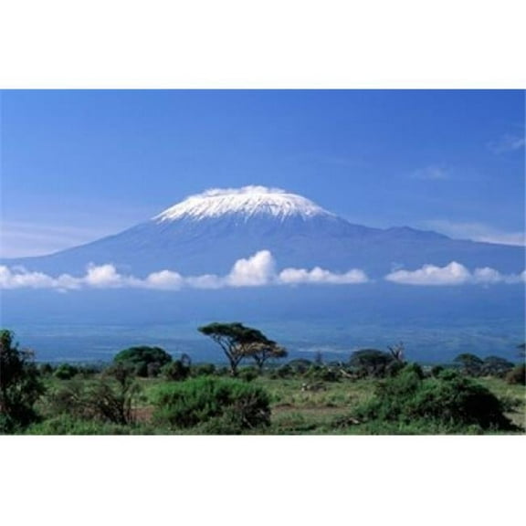 Danita Delimont PDDAF45GJE0018B Africa Tanzania Mt Kilimanjaro Landscape & Zebra Poster Print by Gavriel Jecan, 24 x 15