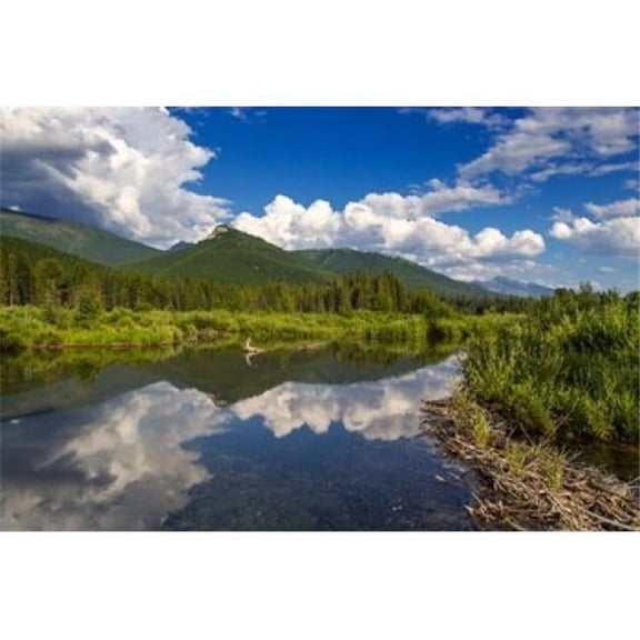 Danita Delimont PDDCN02CHA0044B Beaver Pond Along The Flathead River Near Fernie British Columbia Canada Poster Print by Chuck Haney, 36 x 24
