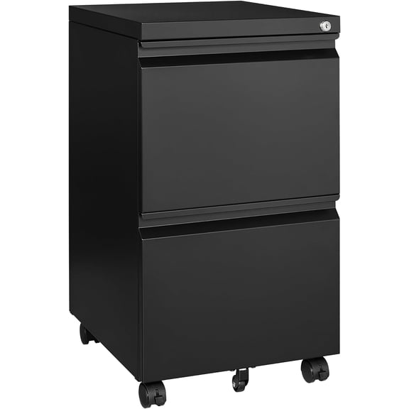 Danniu Mobile File Cabinet with Lock,2 Drawer Under Desk Metal Rolling Filing Cabinets for Home Office Organizer Letters/Legal/A4(Fully Assembled-Black)
