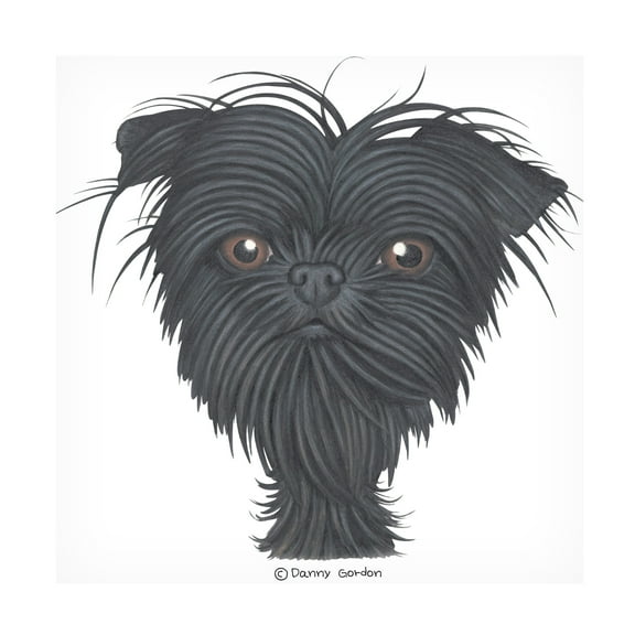 Danny Gordon Art 'Affenpinscher Bust' Canvas Art