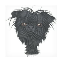 Danny Gordon Art 'Affenpinscher Bust' Canvas Art