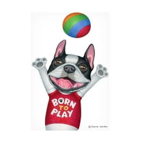 Danny Gordon Art 'Boston Terrier Playing Ball' Canvas Art