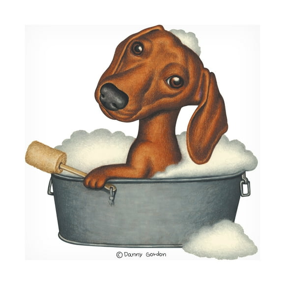 Danny Gordon Art 'Brown Dachshund Bubble Bath' Canvas Art