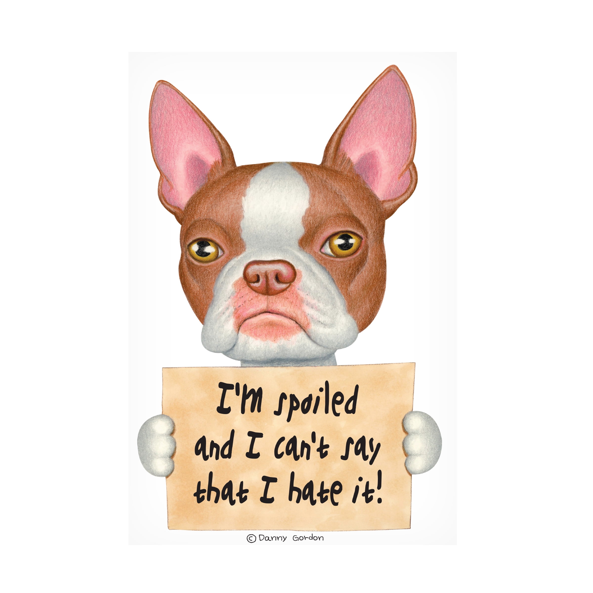 Danny Gordon Red Boston Terrier Canvas Gallery-Wrapped