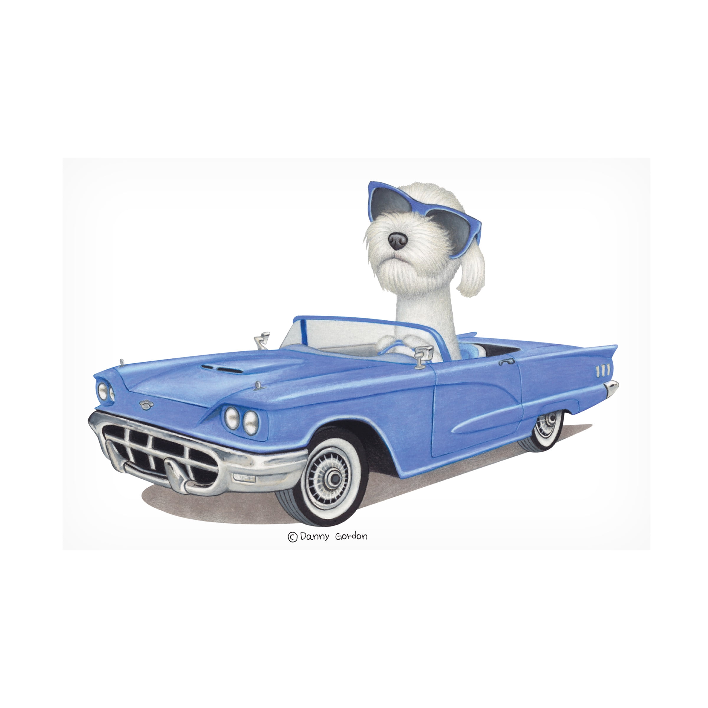 Danny Gordon Art 'White Labradoodle Blue Car' Canvas Art