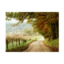 Trademark Fine Art Danny Head Autumn On A Country Road Canvas Wall Art - 24x32