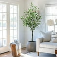 thumbnail image 1 of Danolapsi 4/5/6FT Artificial Tree Plant Eucalyptus Tree,Modern Large Fake Plant Decor in Pot for Indoor Outdoor,Home Office Ideal Housewares Gift Decoration, Eucalyptus Tree, 1 of 6