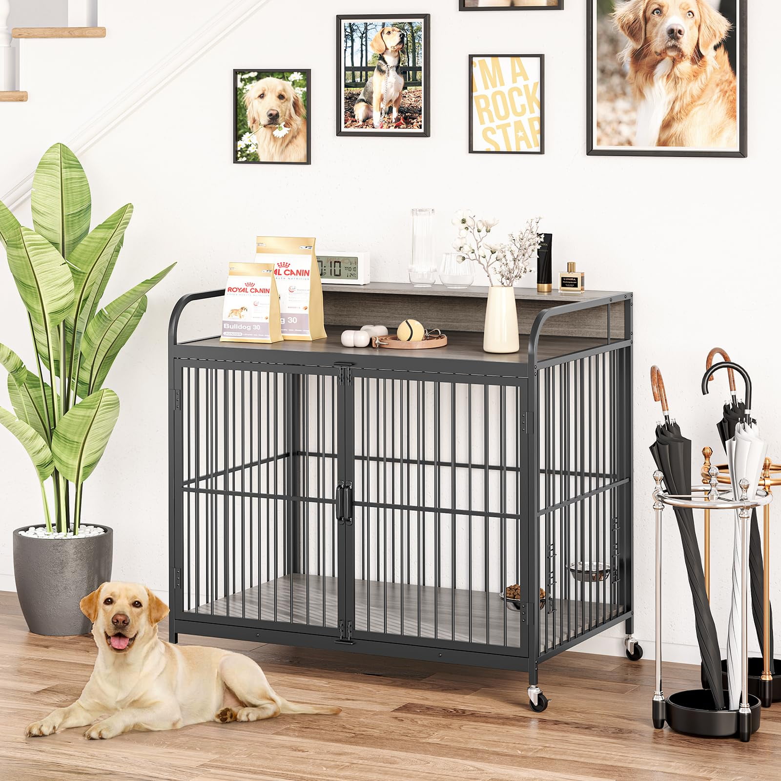Danolapsi 48" W Large Dog Crate Furniture,with 360° Adjustable Elevated Feeder,Dog Crate with 360° Wheels for Easy Mobility,Heavy Dog Furniture,Indoor Decorative Dog Kennel,Sturdy Metal Construction