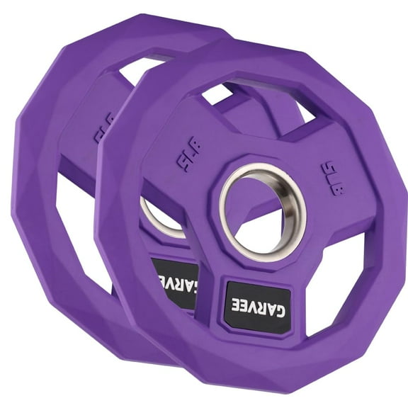 Danolapsi Color Coded Weight Plate,2-Inch Rubber Coated Iron Weight Platesfor Home Gym & Commercial Strength Training Use Multiple Weights Options (2.5-95 Lbs, Single/Pair/Set)