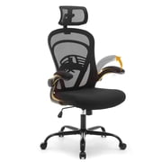 Danolapsi Ergonomic Office Chair, Computer Desk Chair Comfy with Flip-Up Armrests, High Back Mesh Desk Chair with Wheels,Comfortable Armchair for Home Office, Bedroom, Study