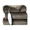 thumbnail image 1 of Danolapsi Heated Blanket Throw 50"X60",Soft Electric Blanket with 5 Heat Settings & 4 Hours Auto Off,Machine Washable Heating Blanket,Reversible Two-Color Flannel Heating Blankets for Home Office, 1 of 8