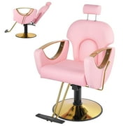 Danolapsi Salon Chair Barber Chair for Hair Stylist Reclining, Height Adjustable Hydraulic Hair Salon Chair with 360 Degrees Rolling Swivel Spa Equipment Beauty Salon