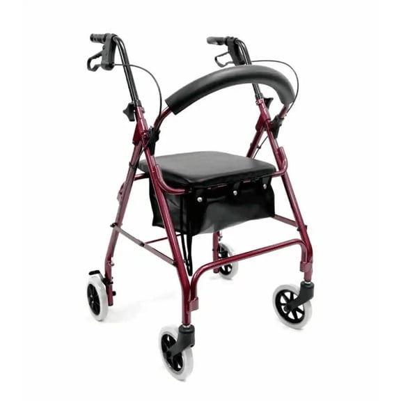 Dansons Medical R-4600 Lightweight Standard Rollator by Karman Healthcare