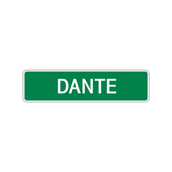 Dante Boys Children Name Letter Printed Label Indoor Outdoor Wall Plaque Decoration Aluminum Sign 4"x18"