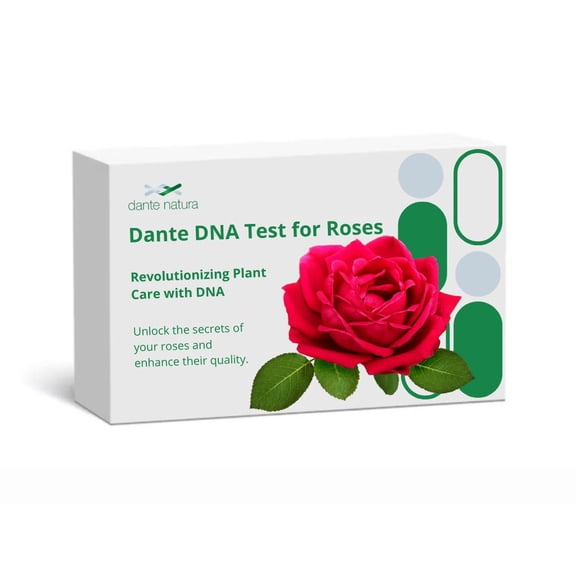 Dante DNA Test for Roses