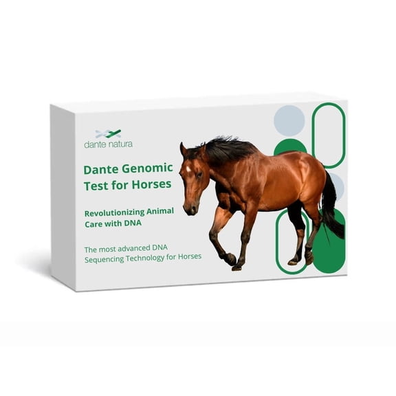 Dante Genomic Test for Horses