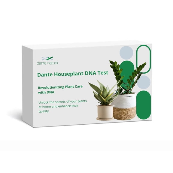 Dante Houseplant DNA Test