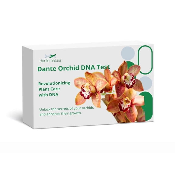 Dante Orchid DNA Test