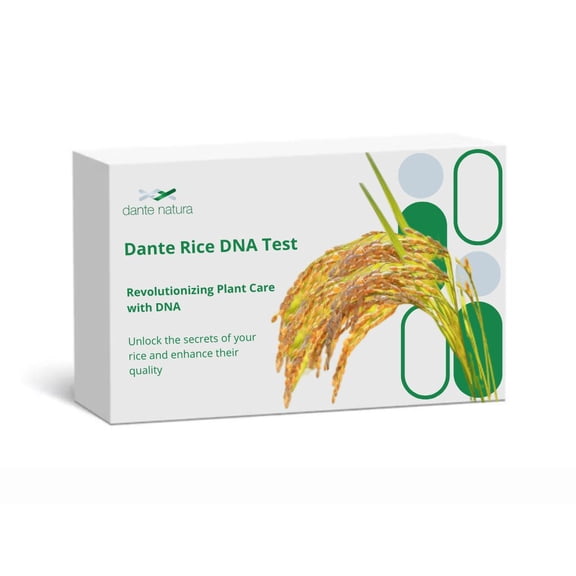 Dante Rice DNA Test