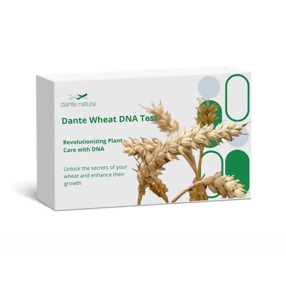 Dante Wheat DNA Test