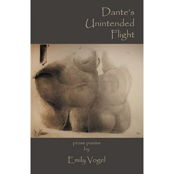 Dante's Unintended Flight, (Paperback)