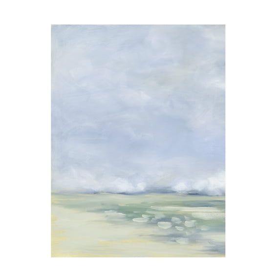 Danusia Keusder 'Coastal Fog' Canvas Art