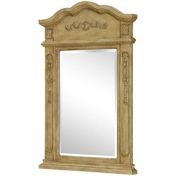 Danville 24 in. Traditional Mirror, Antique Beige